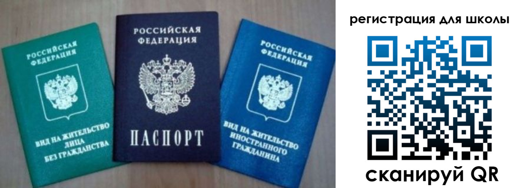 прописка 2025 в Светлогорске